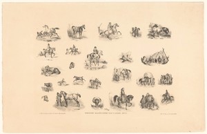 25 voorstellingen van paarden en ruiters