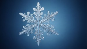 3D Ice Crystal Snowflake