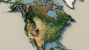 3D Raised Relief