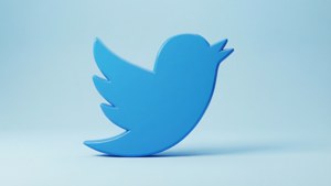 3D Twitter Bird on Solid Background