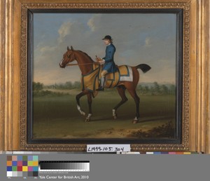 A Bay Racehorse with Jockey Up