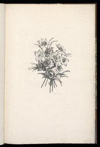 A Bouquet of Flowers