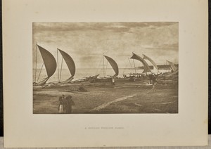 A Ceylon Fishing Fleet