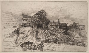 A City Farm—New York