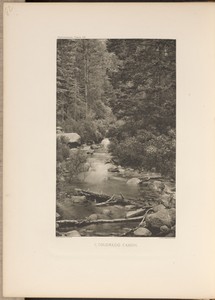 A Colorado Canon
