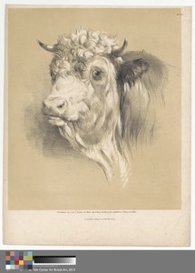 A Cow, No.27