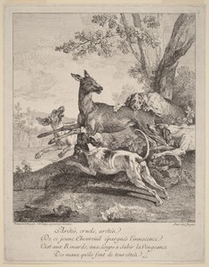 A Deer Attacked by Dogs
