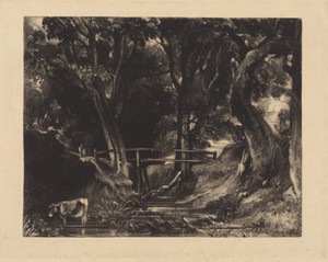 A Dell, Helmingham Park, Suffolk