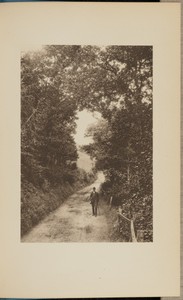 A Devonshire Lane