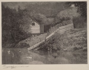 A Duck Pond
