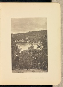 A Glimpse of Ceylon