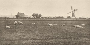 A Grey Day Pastoral