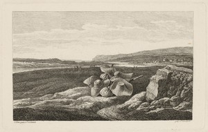 A Harvest Scene with Straw Hats Lying in a Field