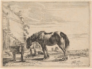 A Horse Bound to a Feeding Trough