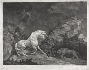 A Horse Frightened by a Lion