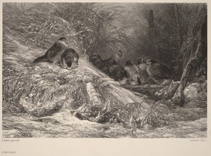 A l'abri du givre