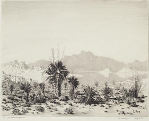 A Mirage, Arizona
