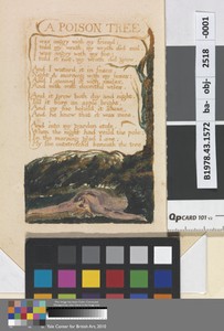 A Poison Tree (Plate 41)