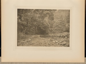 A Quiet Nook in Beresford Dale