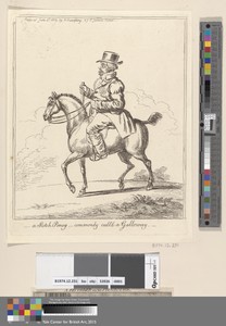 A Scotch Poney - commonly call'd a Galloway