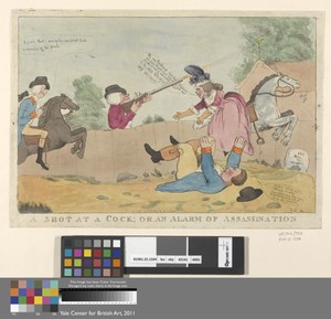 A Shot at a Cock; or, An Alarm of Assassination