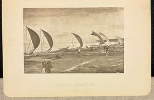 A Singhalese Fishing Fleet