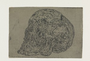 A Skull