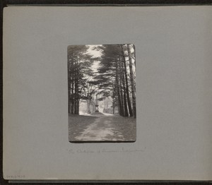 [A View of The Washington Monument]