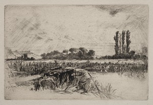 A Water Meadow
