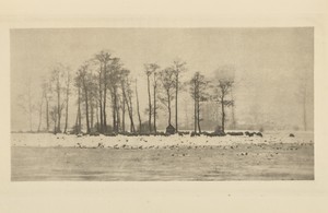 A Winter Pastoral