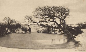 A Winter's Morning