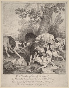 A Wolf Attacked by Dogs