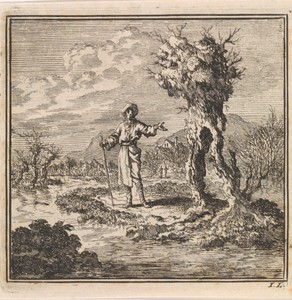 Aan de waterkant wijst een man op een knotwilg
