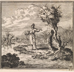 Aan de waterkant wijst een man op een knotwilg