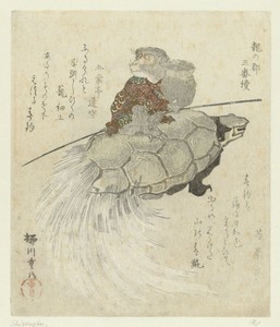 Aap met langharige schildpad
