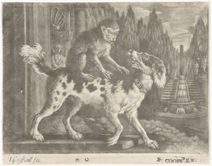 Aap op de rug van een hond
