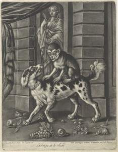 Aap op de rug van een hond