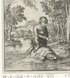 Aap steekt op de rug van een schildpad een rivier over