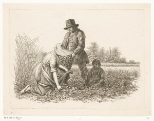 Aardappelrooiers