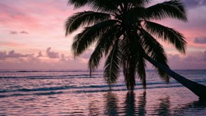 Abaiang Atoll Sunrise