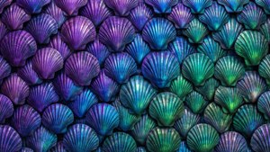 Abalone Scale Mosaic
