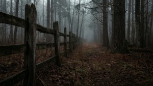 Abandoned Fence in the Fog