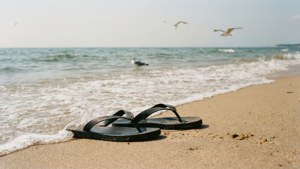 Abandoned Flip-Flops