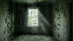 Abandoned House Mold