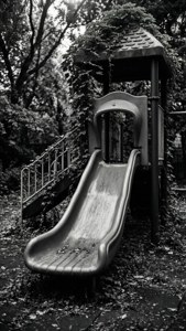 Abandoned Slide Monochrome
