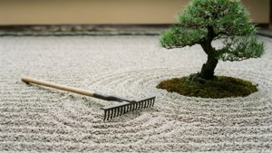 Abandoned Zen Garden