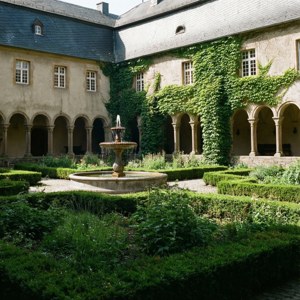 Abbey Courtyard Serenity