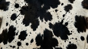 Abstract Splatter Cowhide