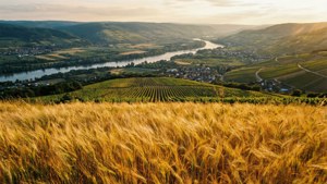 Abundant Valley View