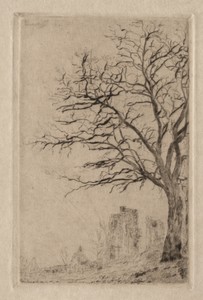 Acacia